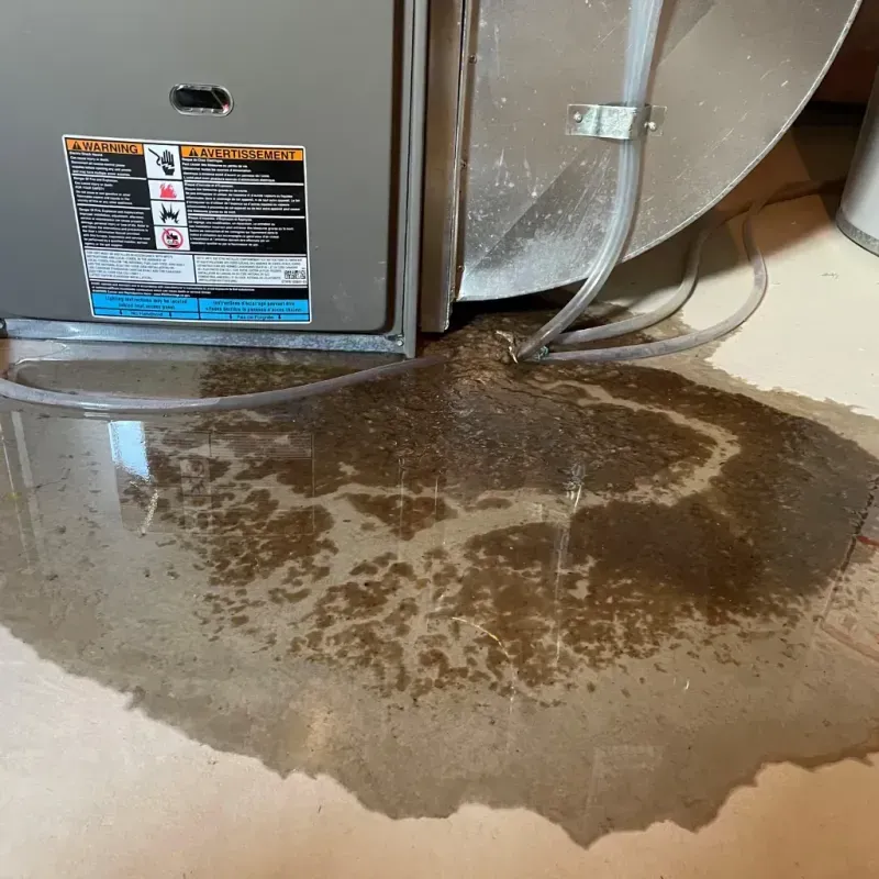 Appliance Leak Cleanup in Denton, NC